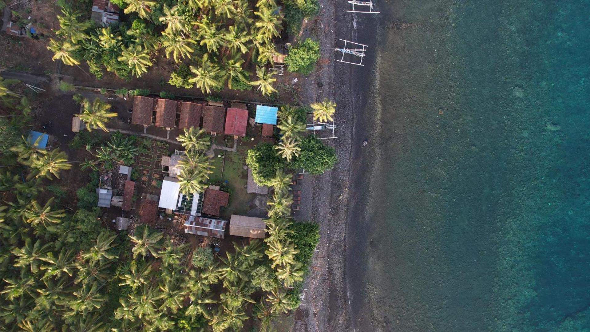 Kura Kura Beach تيجاكولا المظهر الخارجي الصورة
