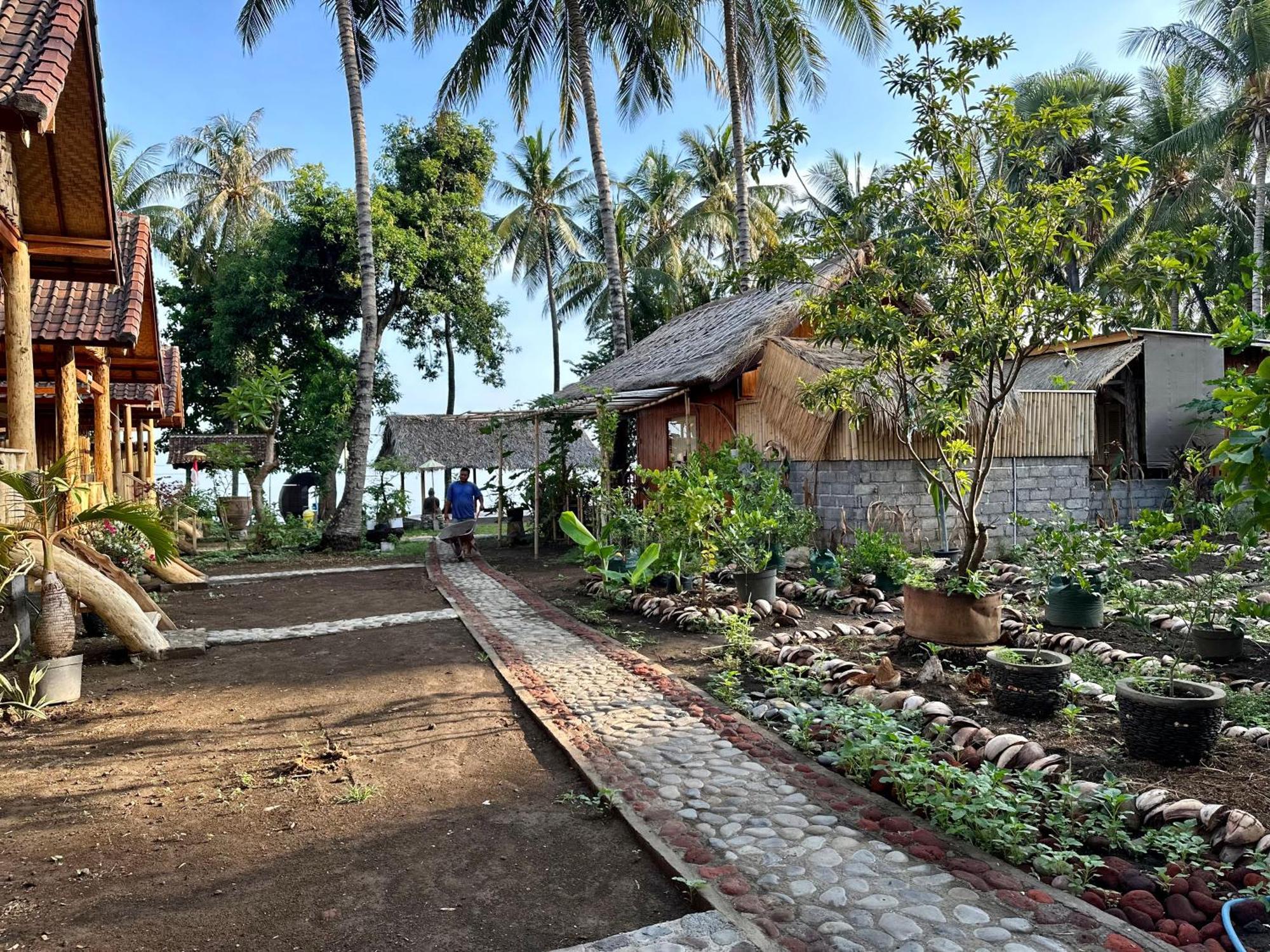Kura Kura Beach تيجاكولا المظهر الخارجي الصورة